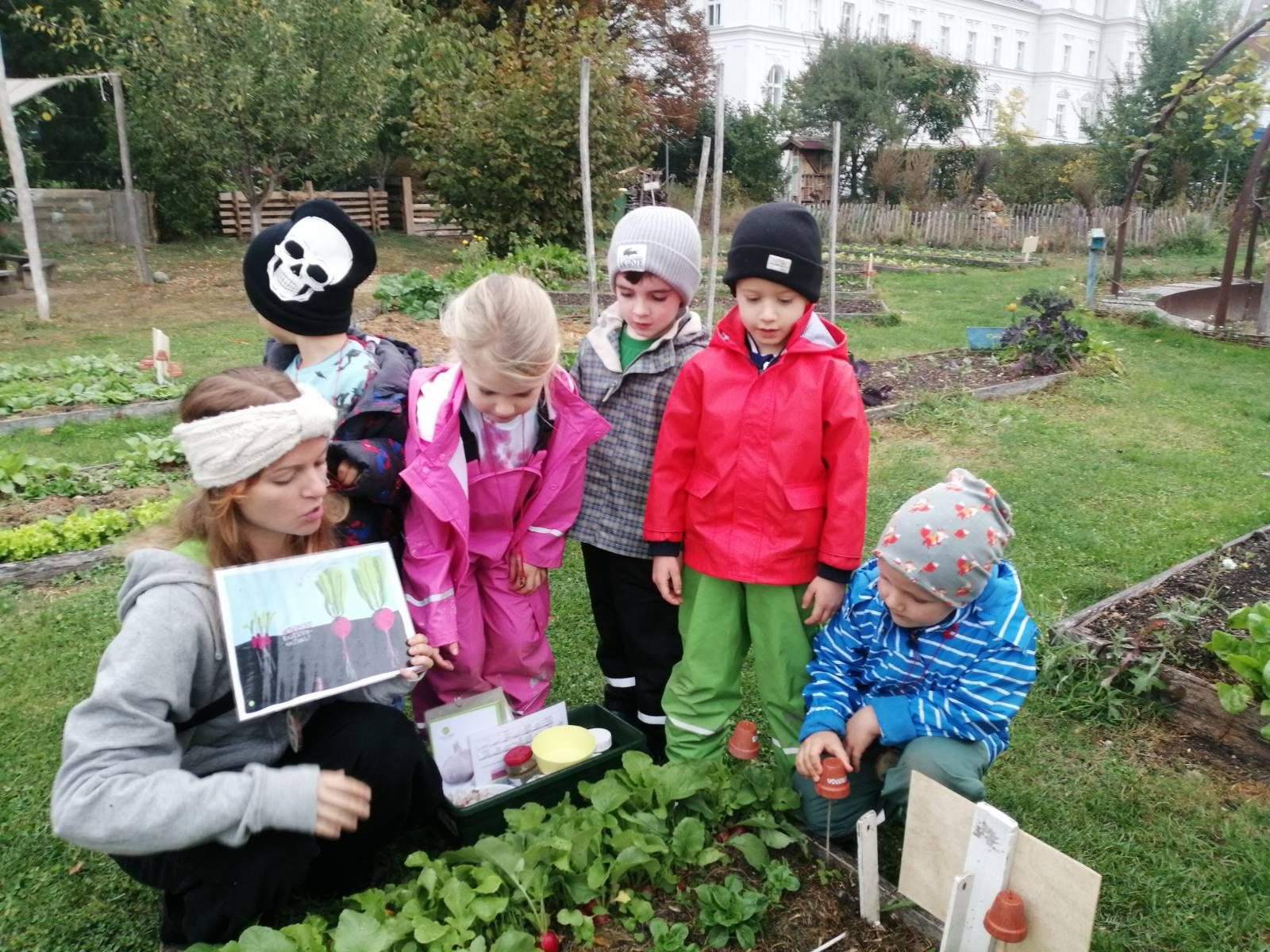 Children and an accompanying adult discovering vegetables in a garden
