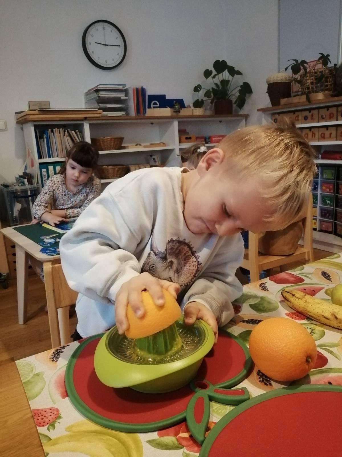 A child independently squeezing an orange