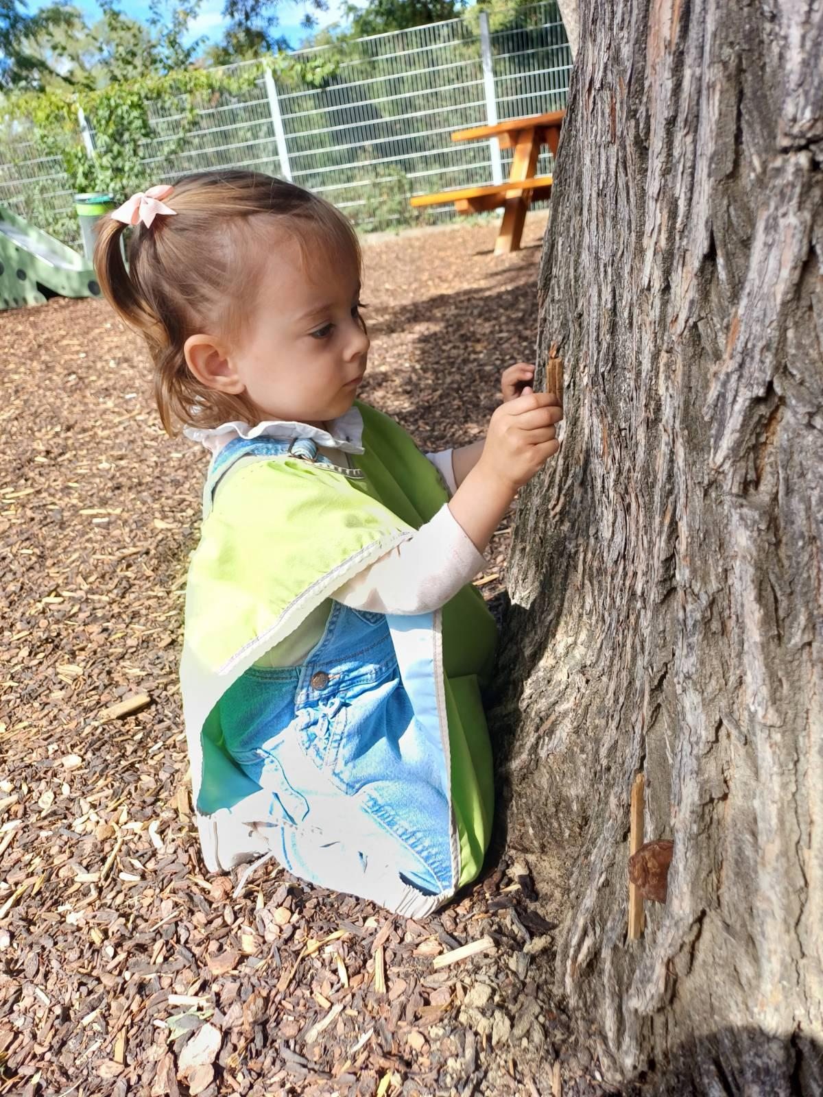 A child exploring the bark of a tree